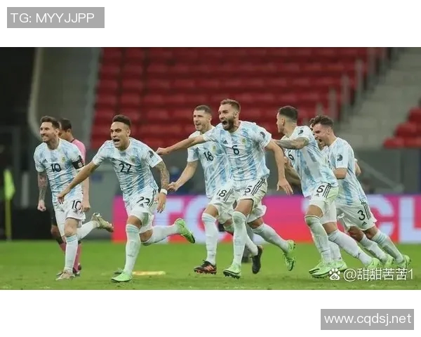 2002年世界杯经典对决回顾美国队与阿根廷队的激烈较量